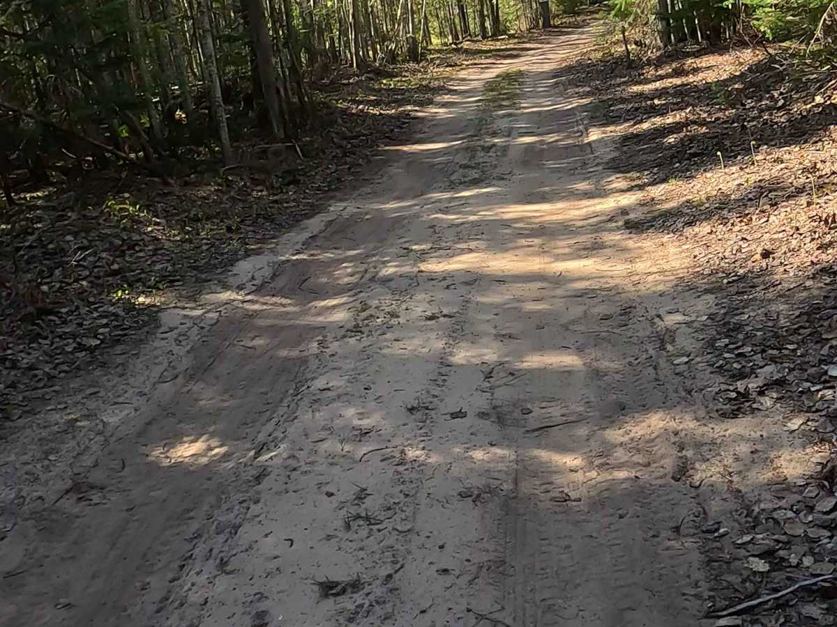 North Beaver Road - East photo 3