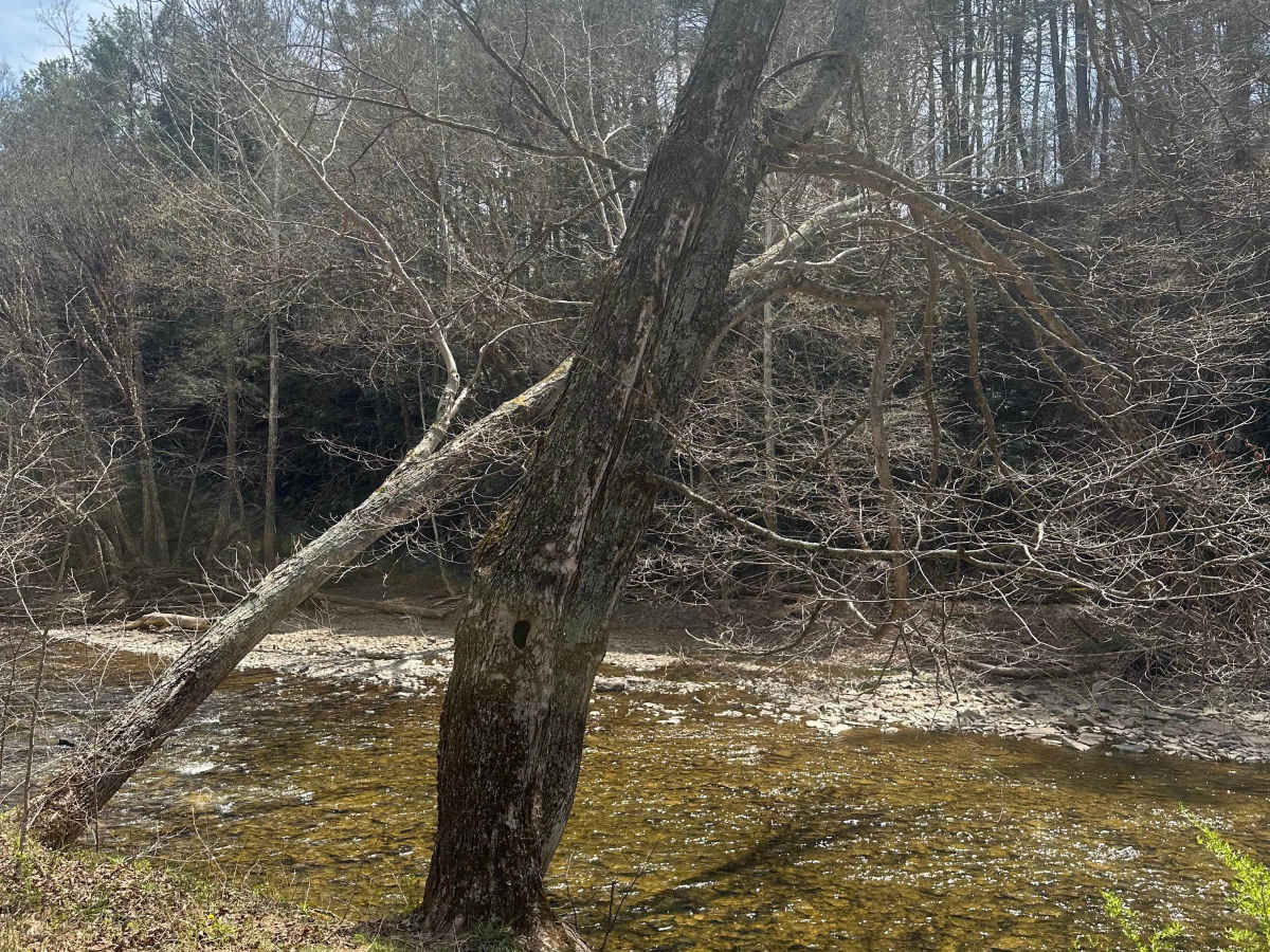Alleghany Line Road photo 2