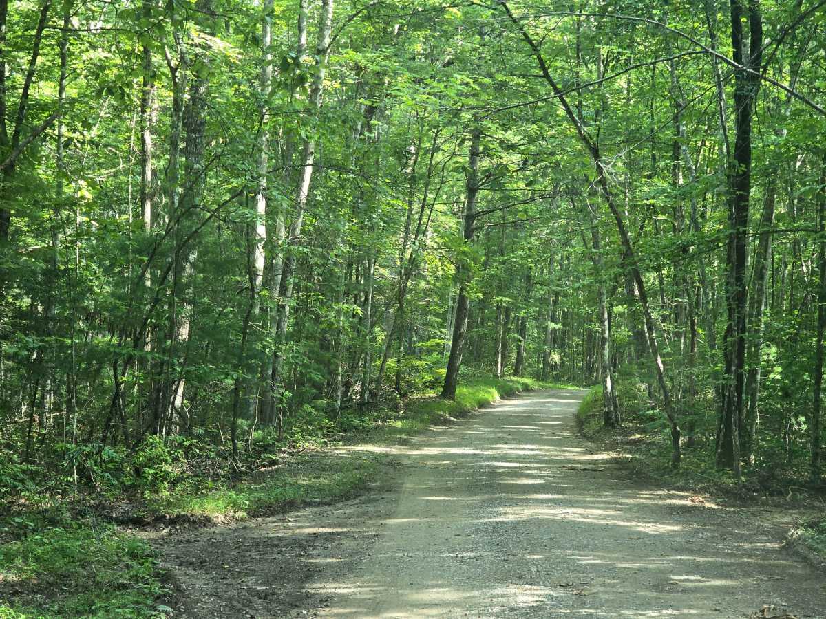 Duncan Hollow Road photo 3