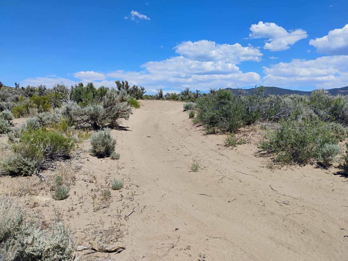 Easy Rider Trail photo 3