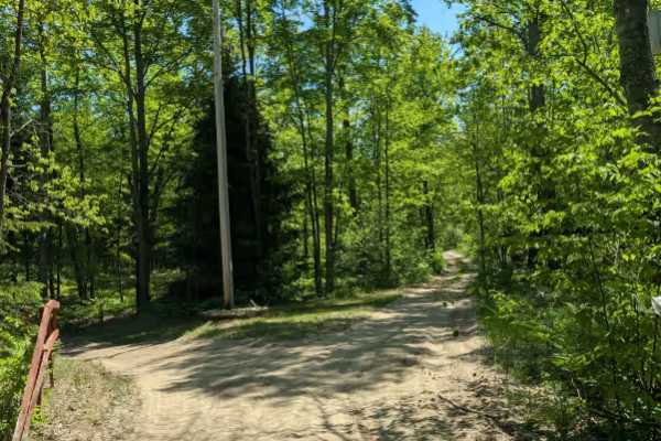Dyer Lake Trail