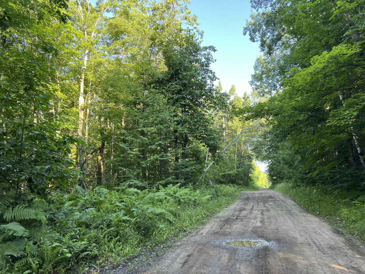 Bug Lake Road photo 4