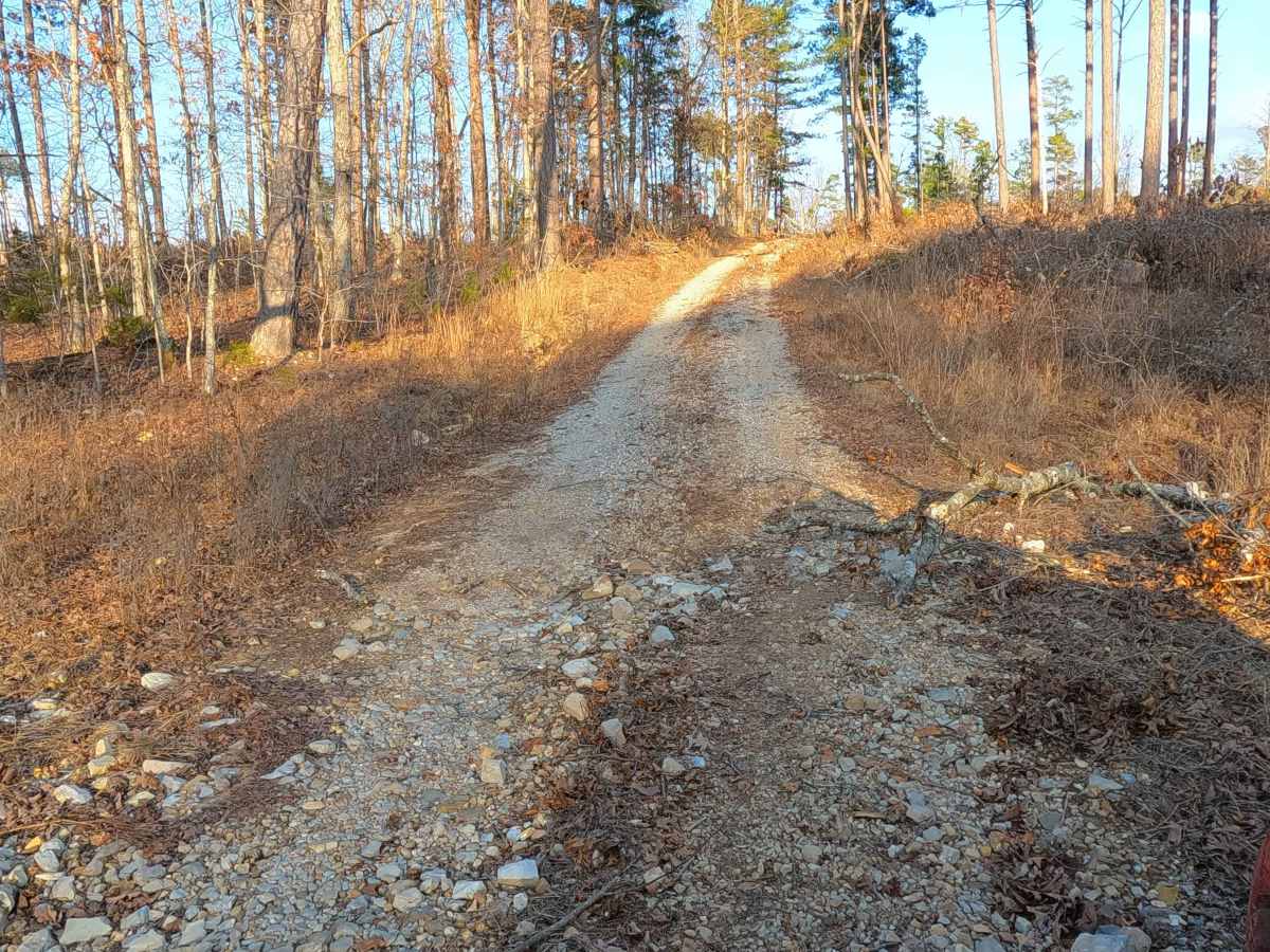 Greasy Creek - FS 427 photo 3