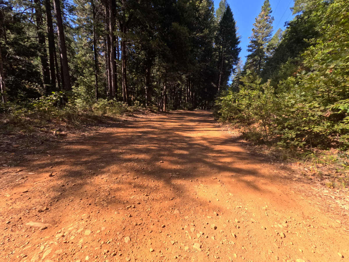 North Loop - FS 19N22 photo 6
