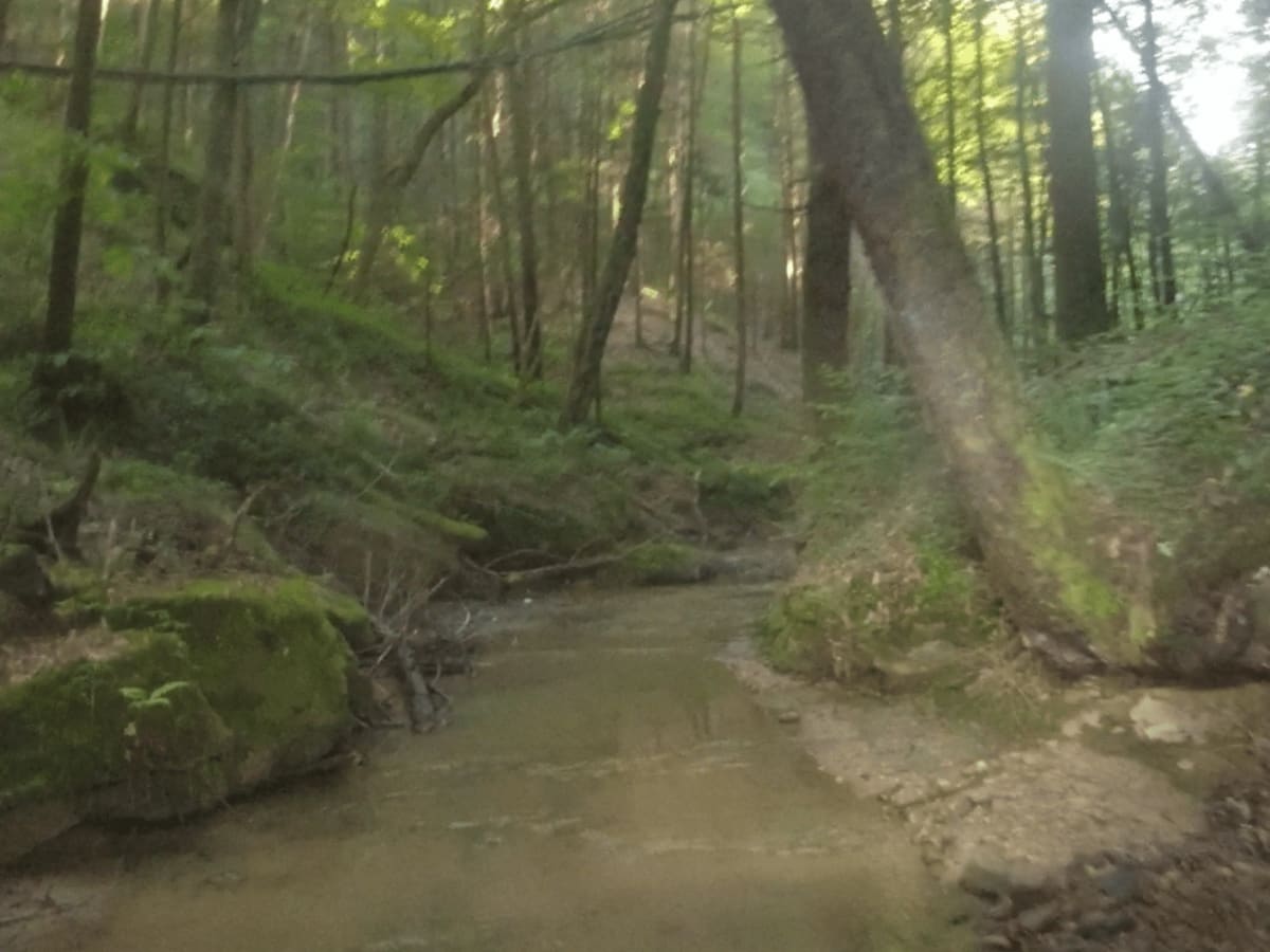 Wrongturn Hill trail photo