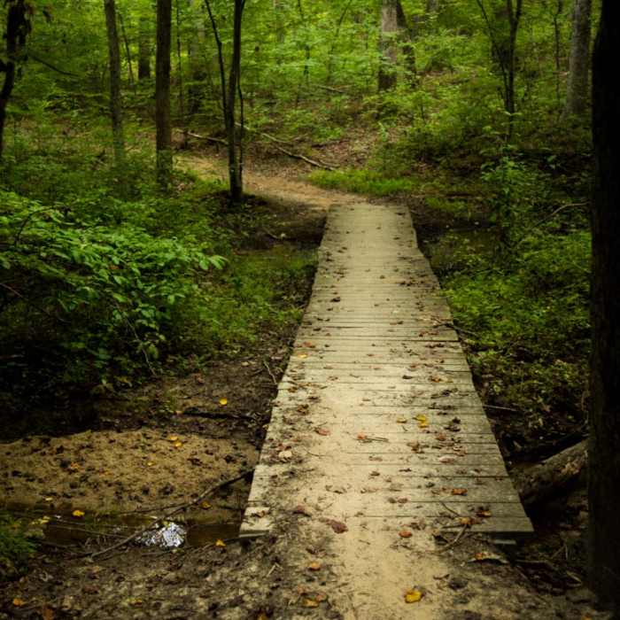 Near Bald Eagle Trail Near Bald Eagle Trail