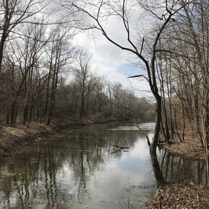 The trail crosses a small, peaceful pond. Near Tunica River Park