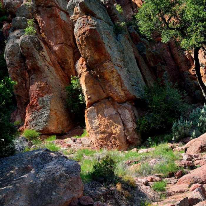 Near Moses Springs Trail