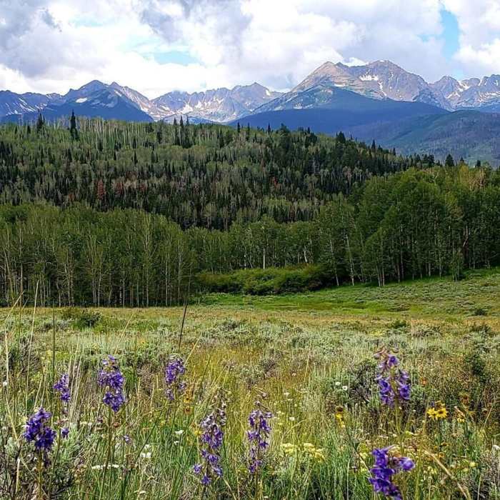 Near Acorn Creek Loop Route