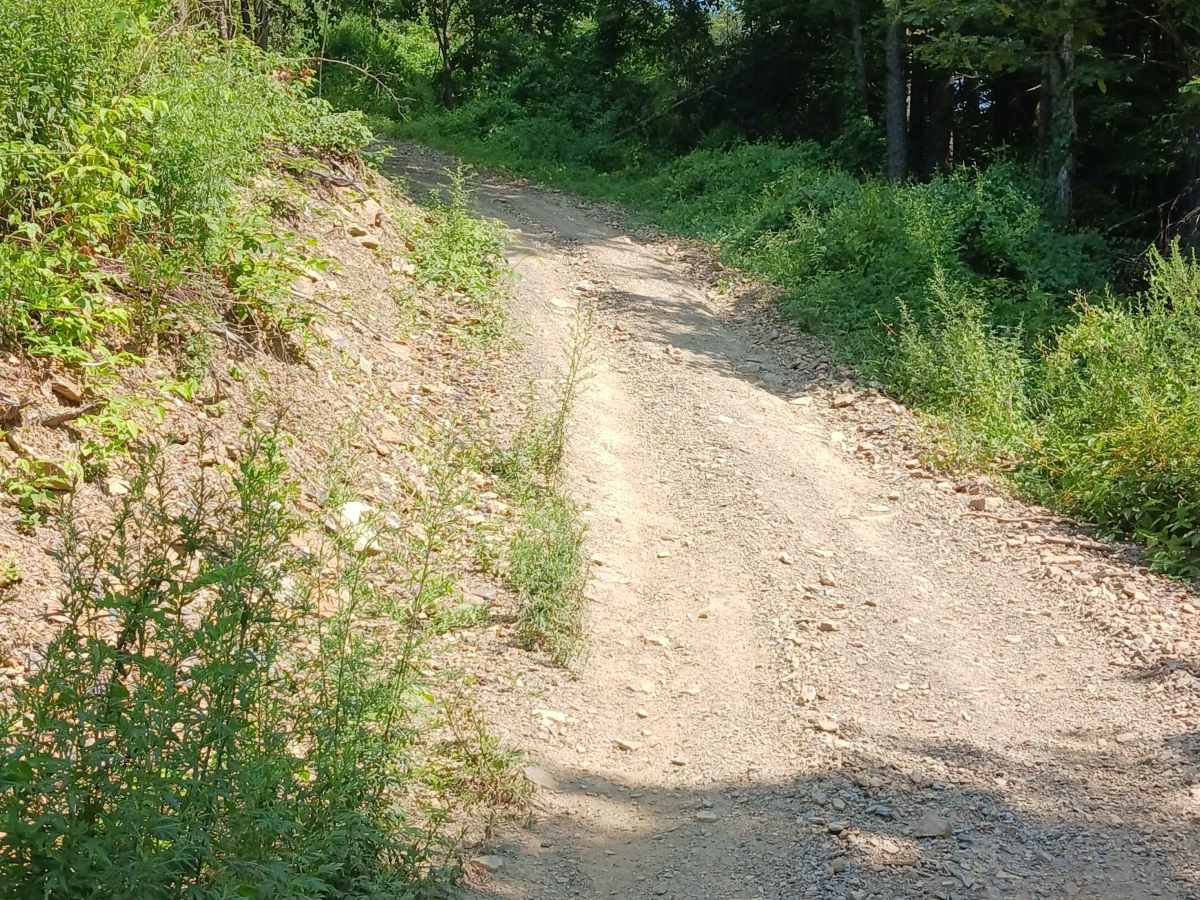 Opossum Run - Rock Run Recreation Area photo 5
