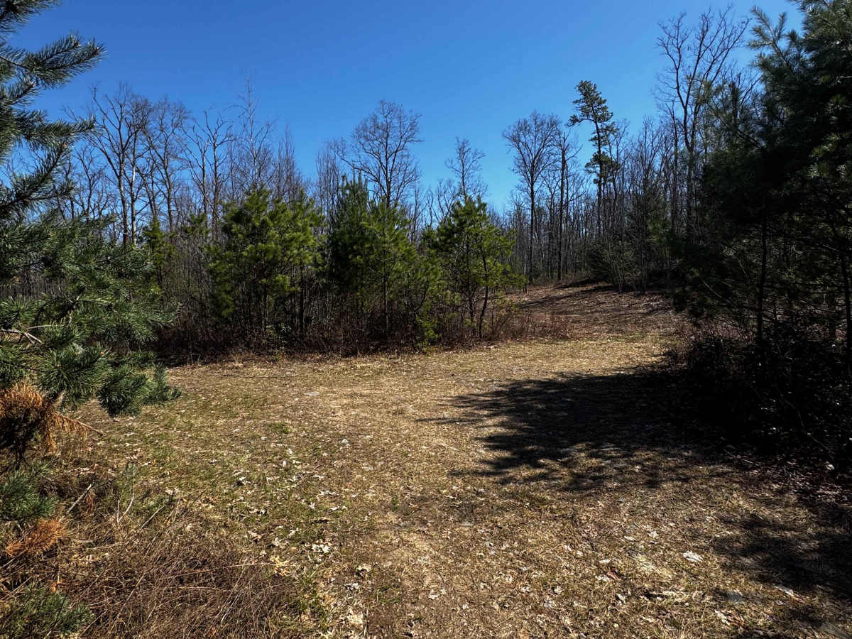 Rock Run Trail photo 6