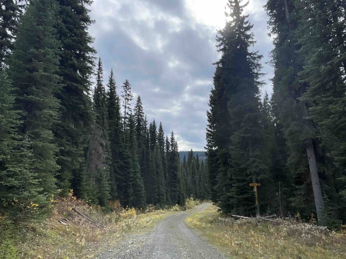 Raydar Rd photo 2