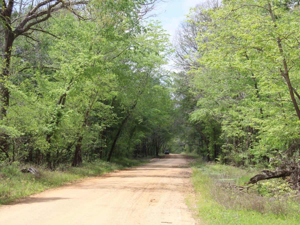 The Arkansas Overland Route - TrailHawk Loop - Section 26 photo 2