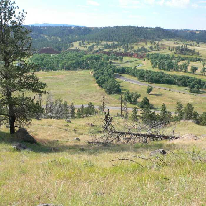 Views not limited to the tower itself. Near South Side Trail