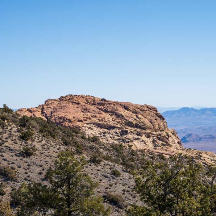 Near Mountain Spring Peak