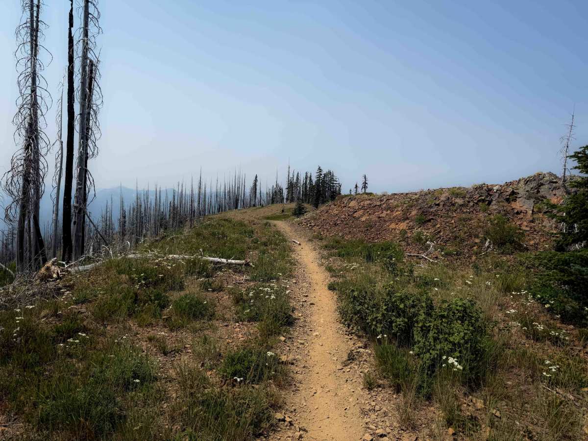 Sasse Mountain (Upper) 1340   photo 4