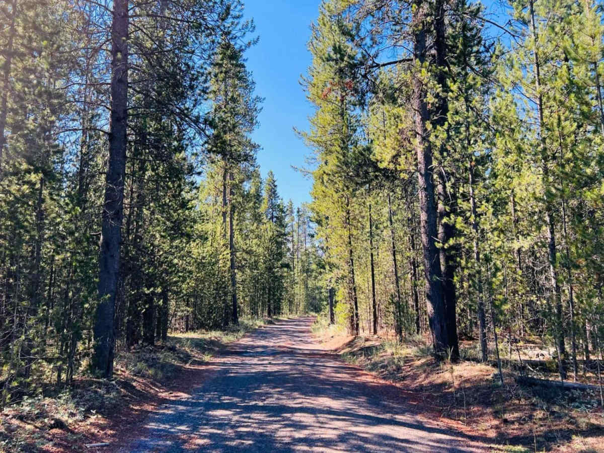 Stage Trail photo 6