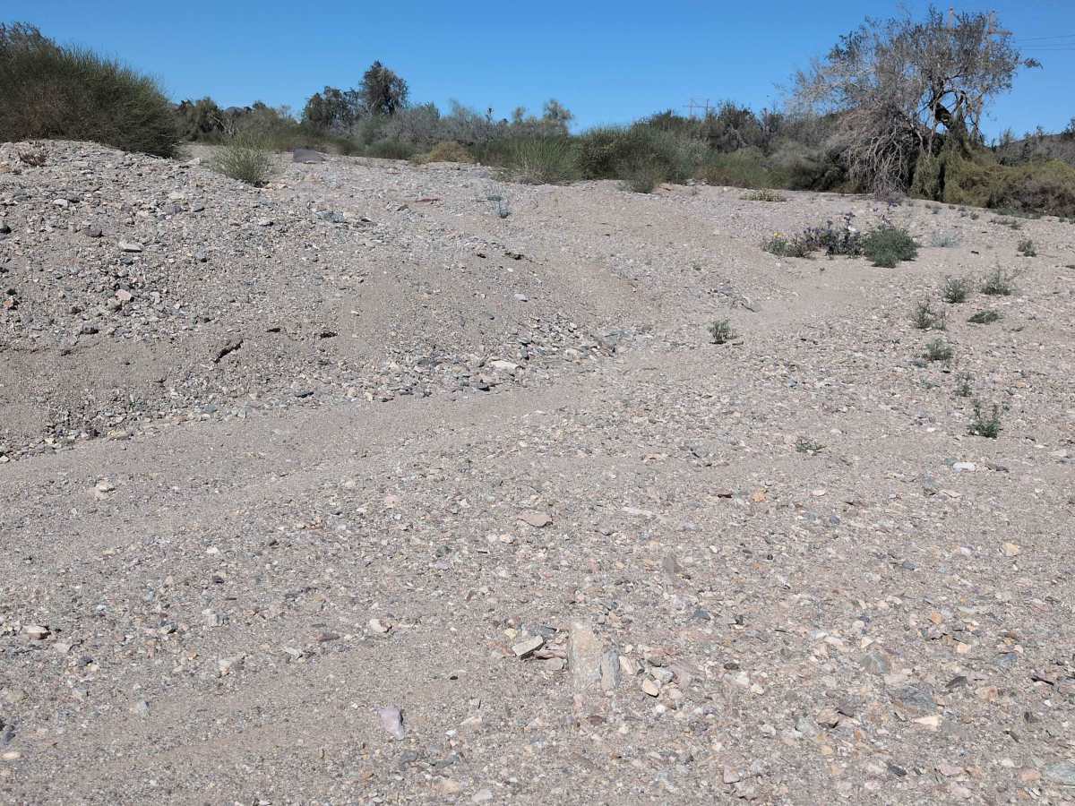 BLM 731 photo 4
