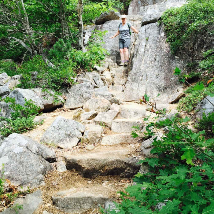 Near Acadia Mountain