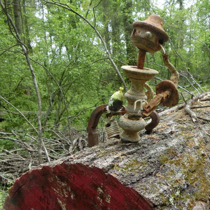 Doll's Head Trail, Atlanta Near Constitution Lakes and Doll's Head Loop