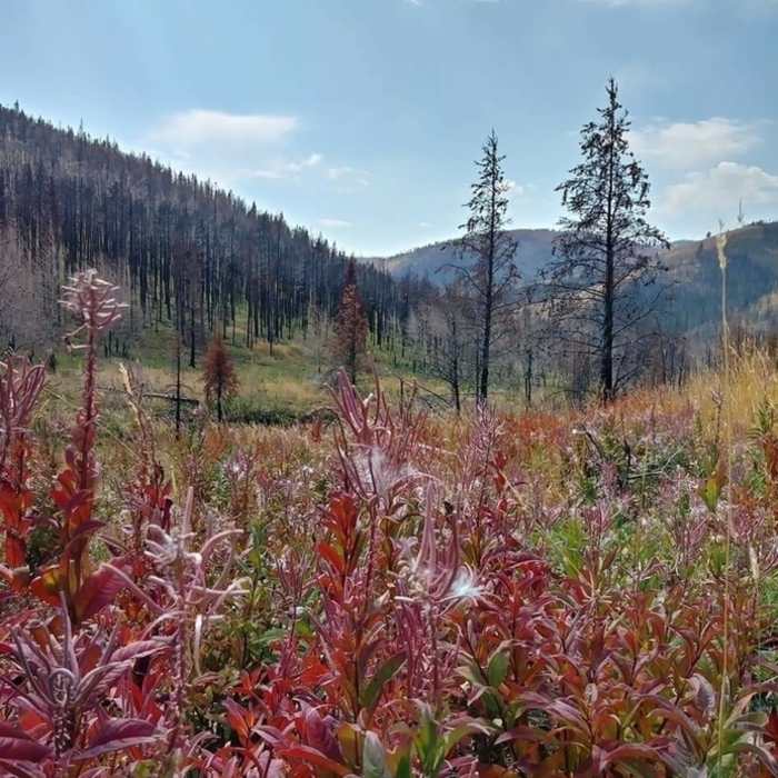 Near Lost Creek Trail