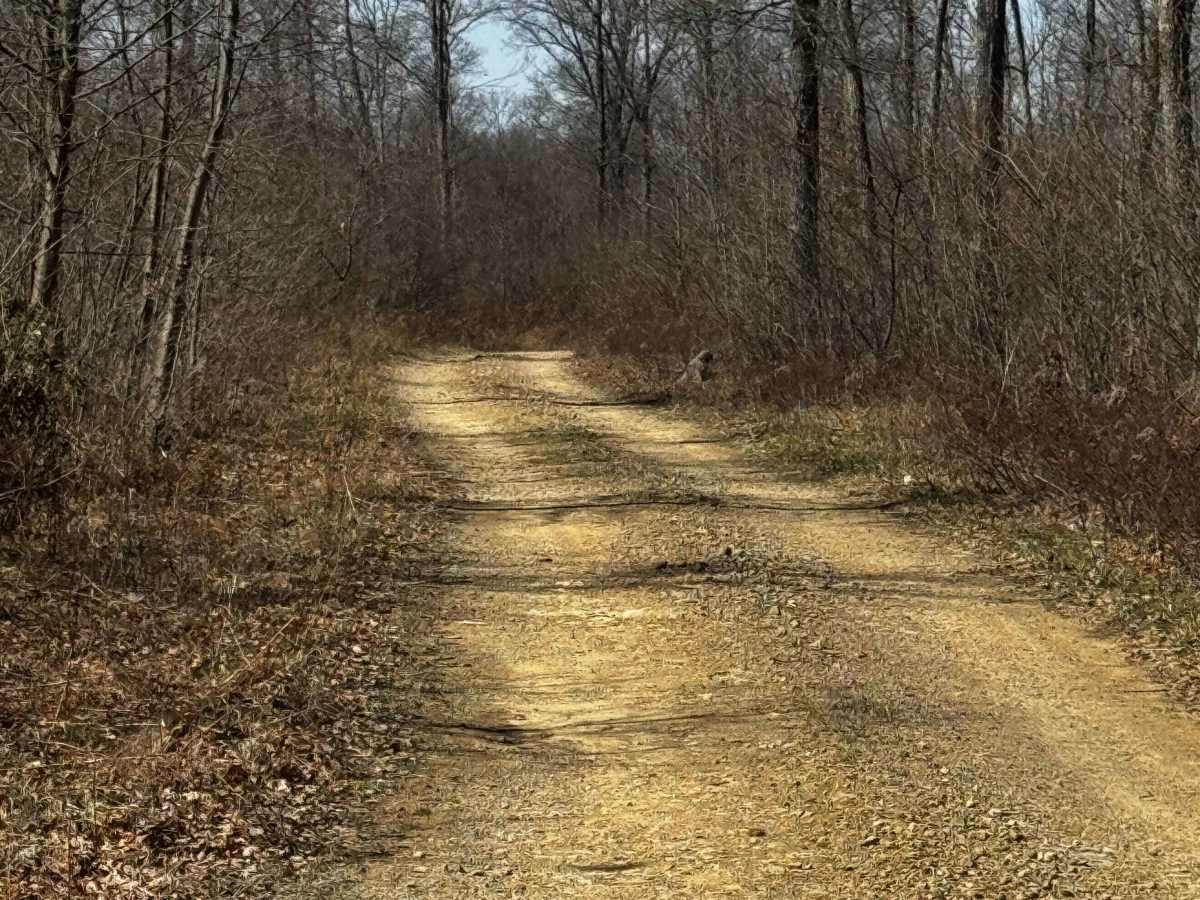 Rock Run Trail photo 5