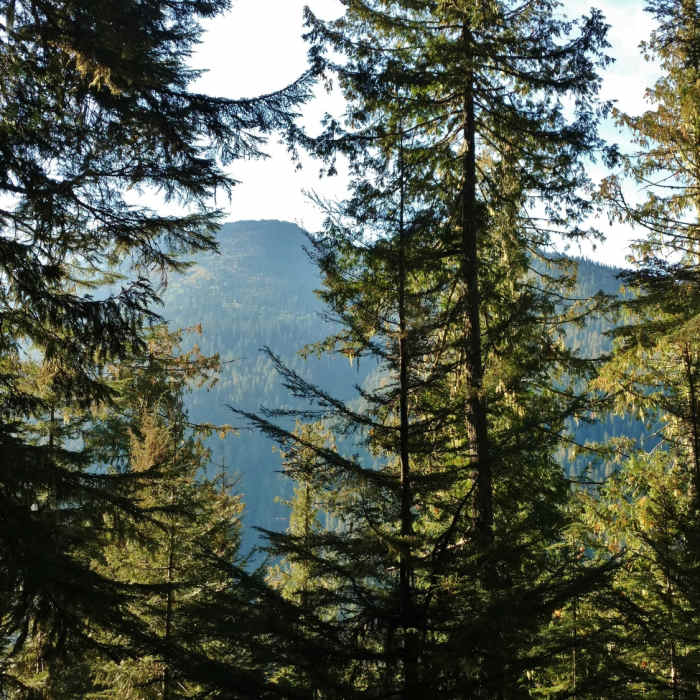 Near American Falls Out-and-Back