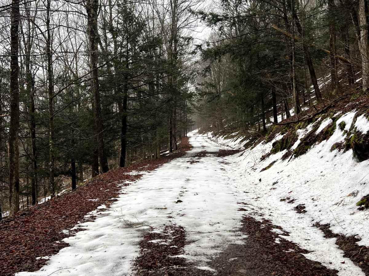 Williams Trail photo 2