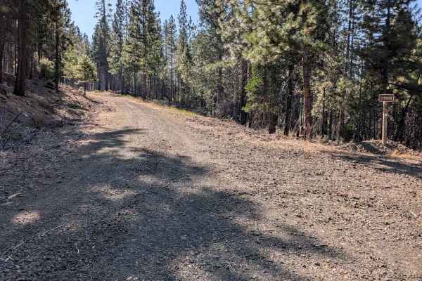 North Fork Smokey Creek Road - FS 29N48
