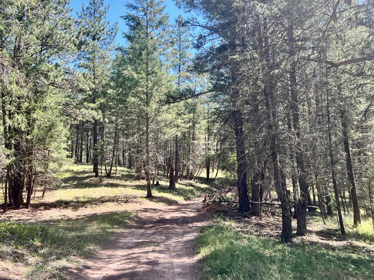 Mud Lake Loop photo 4