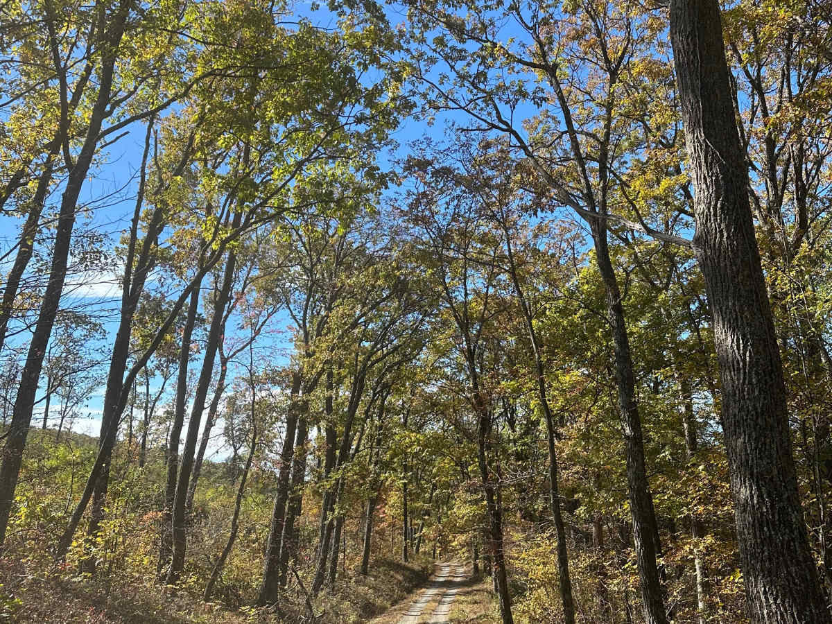 Tower Road  trail photo