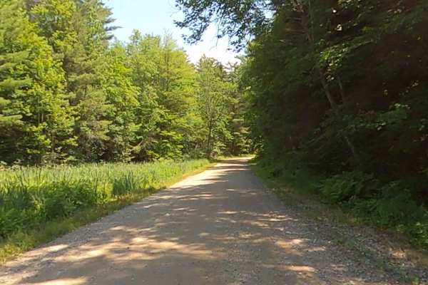 Goose Pond Road