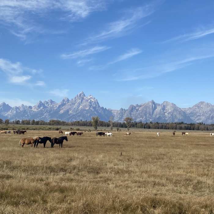 Near Grand Teton - Upper Exum Near Grand Teton - Upper Exum