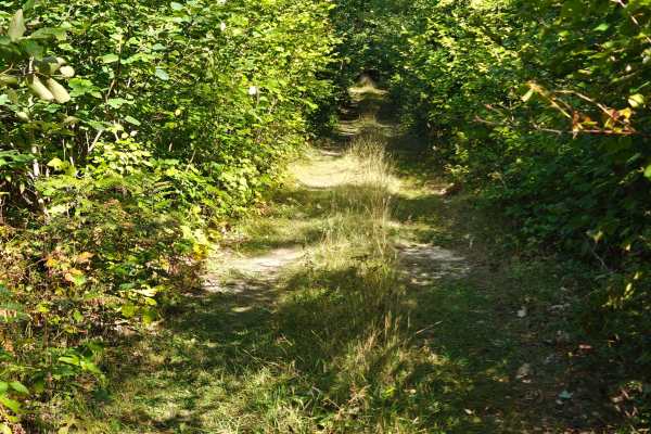Border Trail