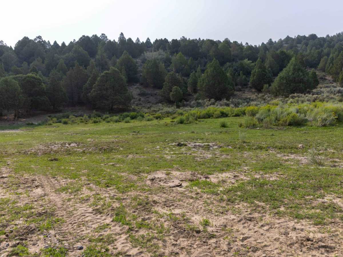 Little Creek photo 6
