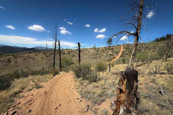 Beaver Creek Trail 732 