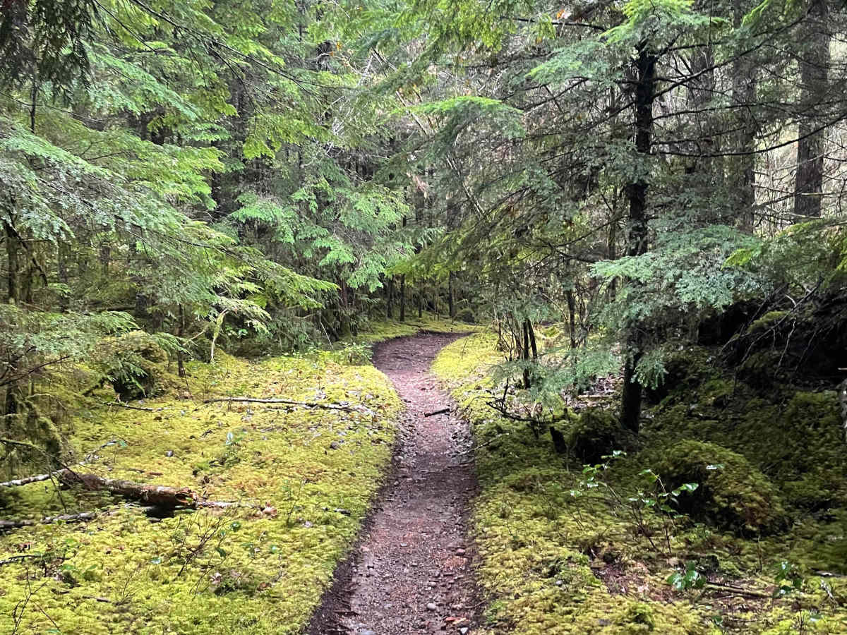 Museum trail photo