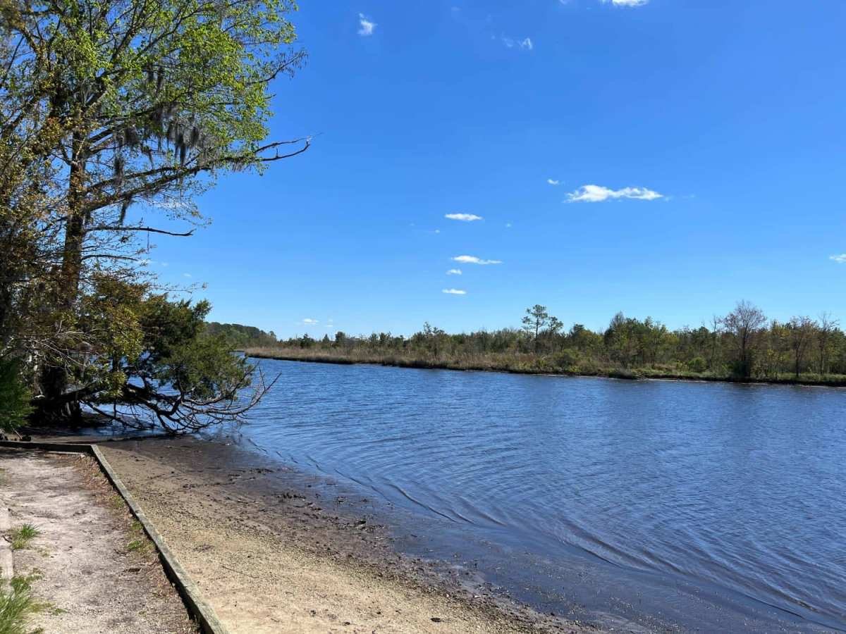 Long Point trail photo
