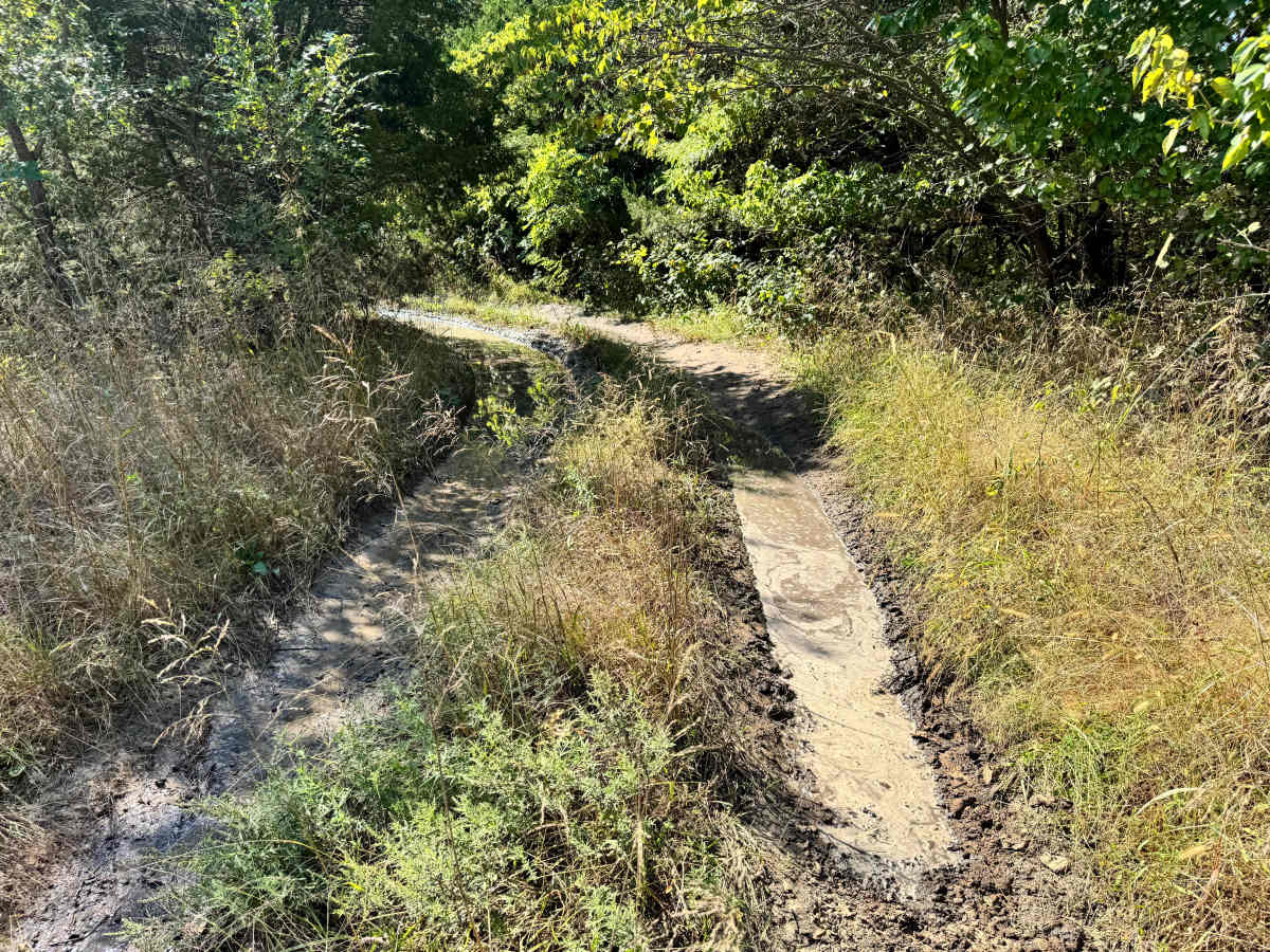 Bent Wrench Way photo 3
