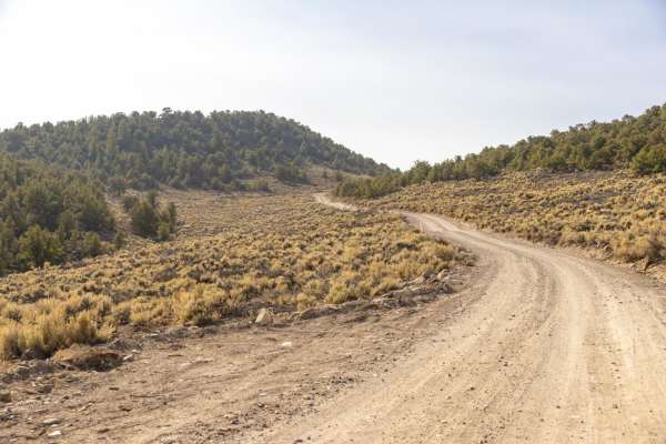 Mytoge road