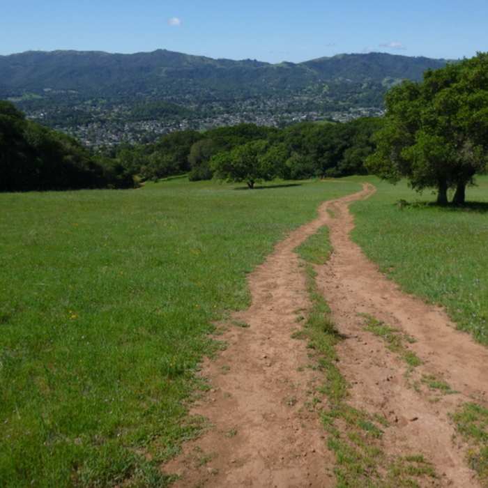 Near Mt. Burdell Preserve Loop