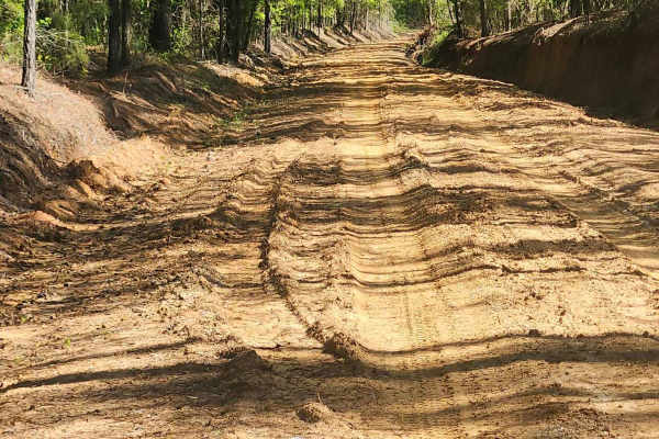 Tatum Road Trail