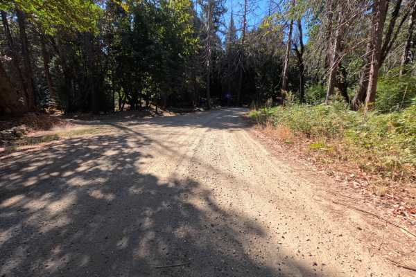 Bear Trap Springs Road - FS 69