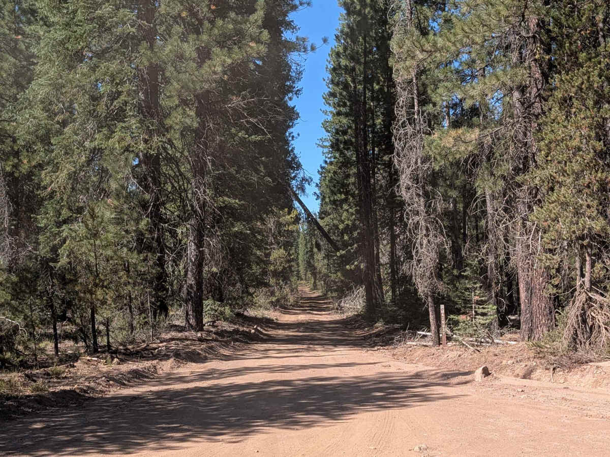 Obsidian Light - FS 42N03Y trail photo