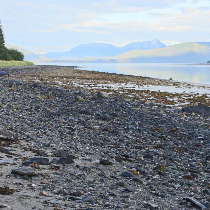 The Beach Trail takes visitors near a very rocky beach. Near Tlingit Trail