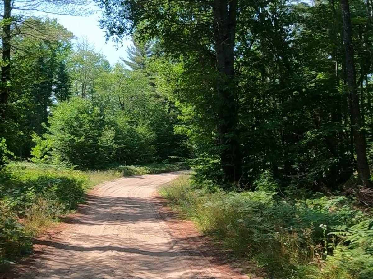 Camp Truck Trail/ Tower Road trail photo