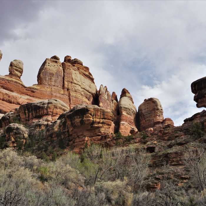 View from Salt Creek Camp 4 Near Salt Creek Trail