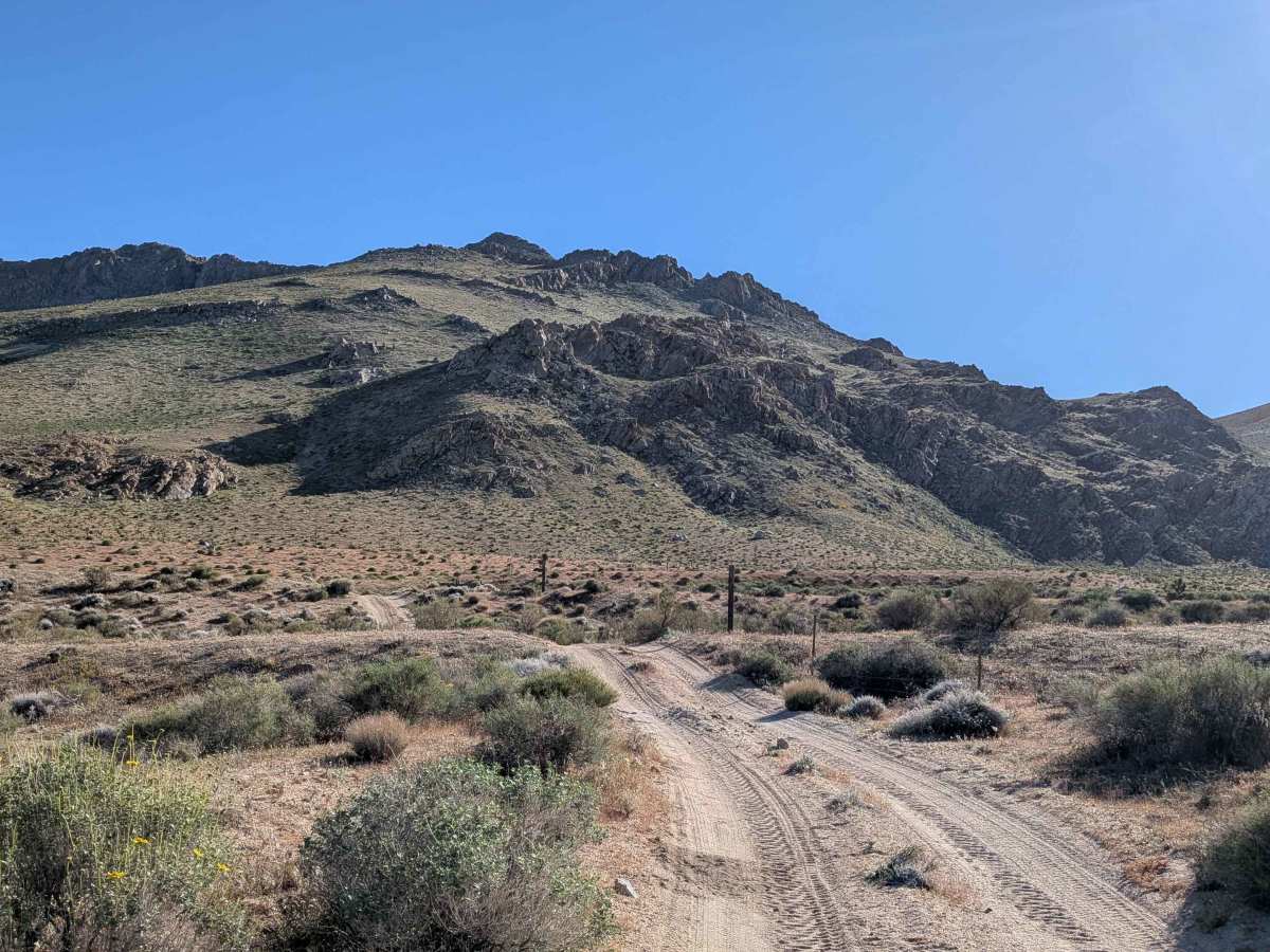 BLM SE143 photo 4