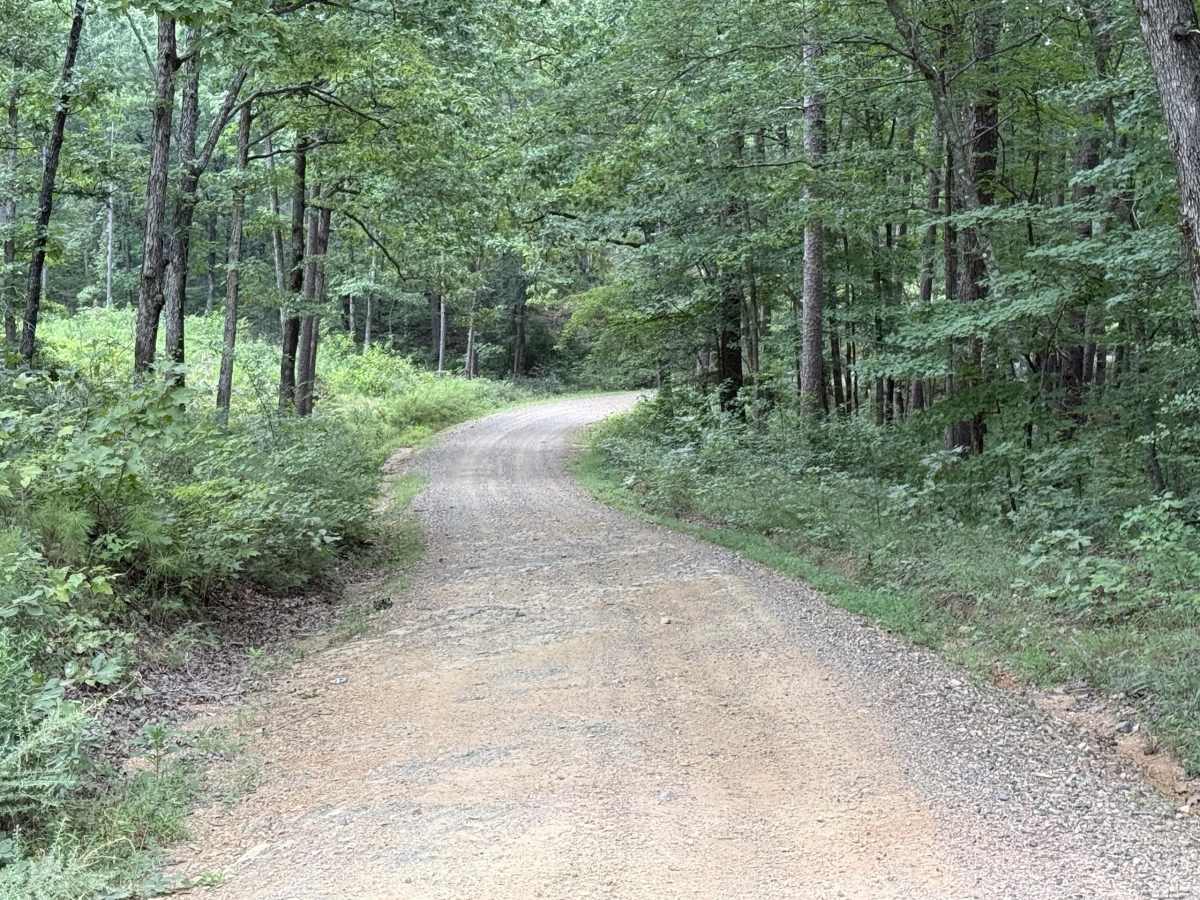 Polk County Road 79 photo 2