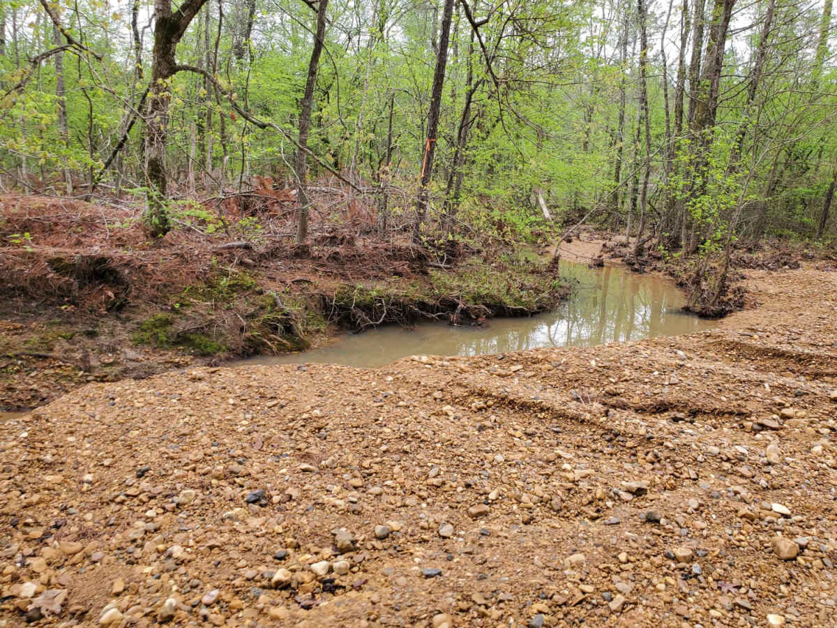 Poison Springs WMA - Campsite C-10 to C-29 and C-54 photo 5